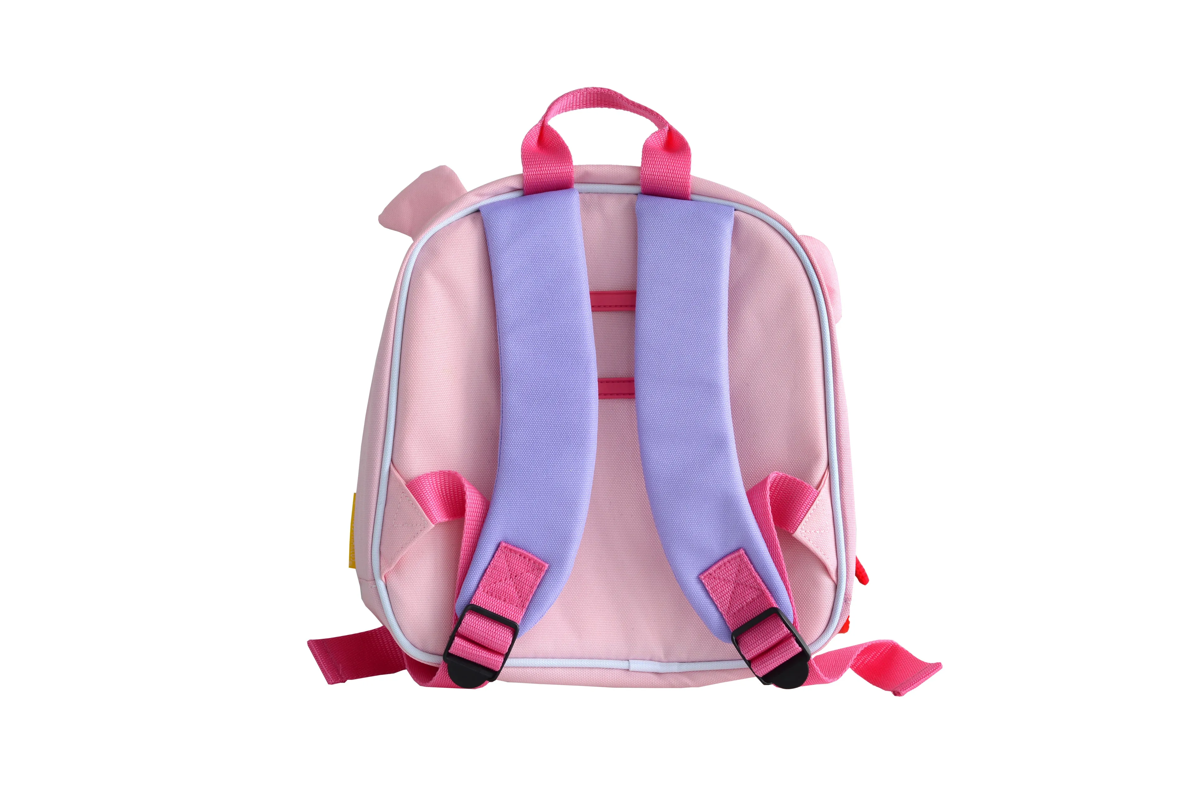 Insulated Backpack