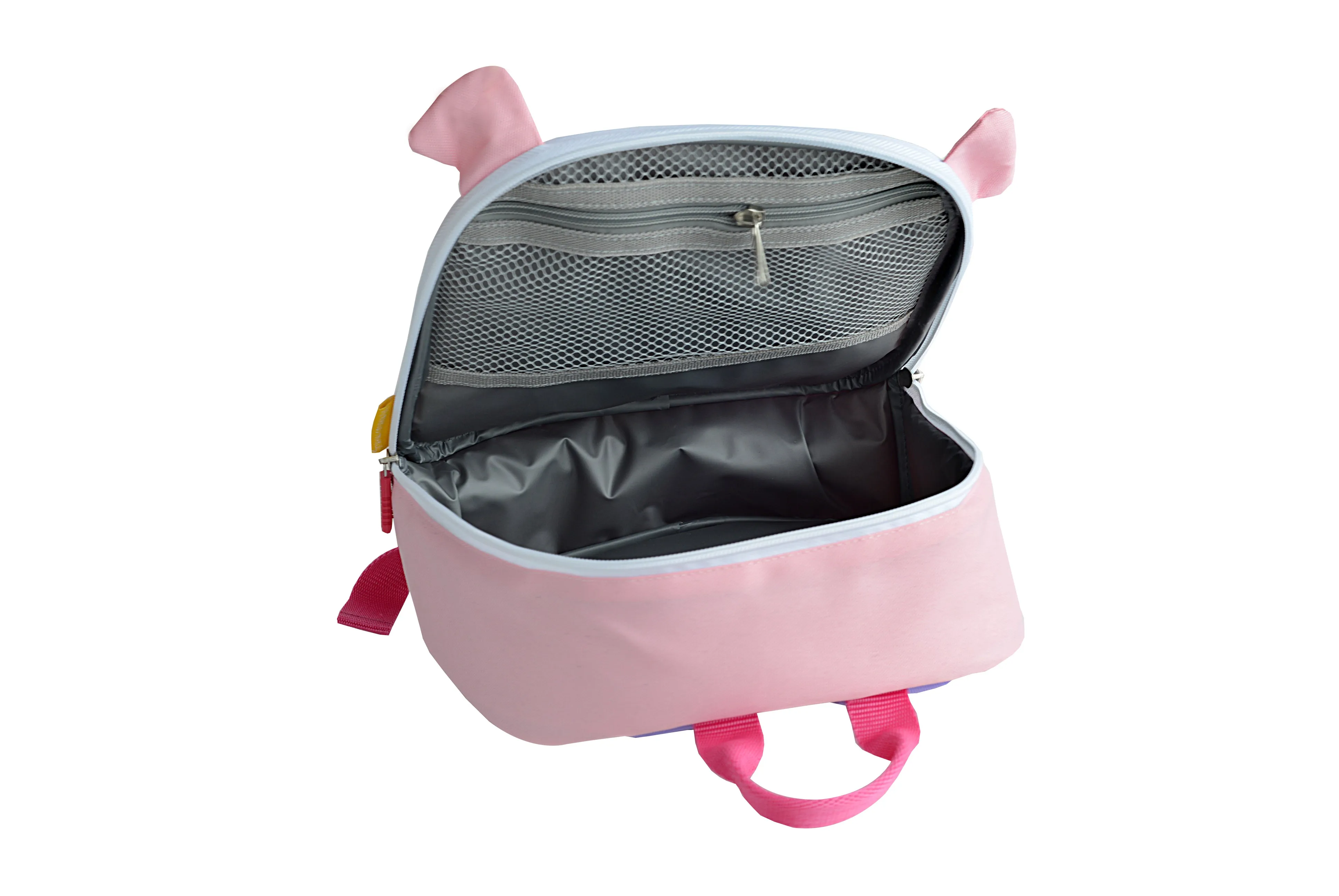 Insulated Backpack