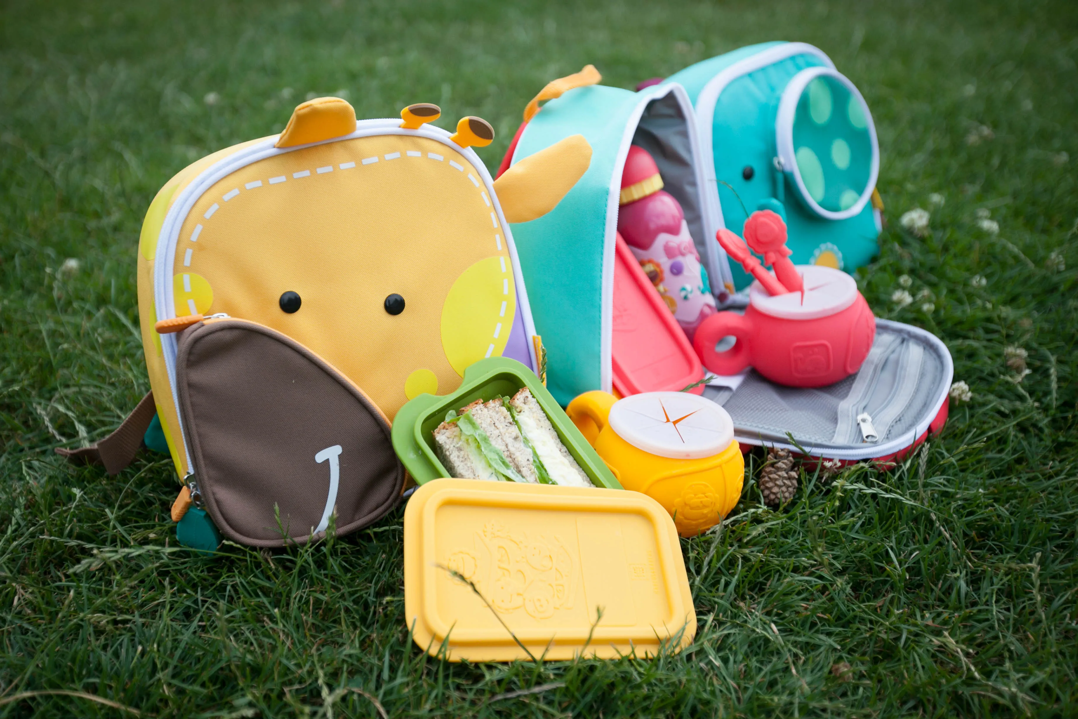 Insulated Backpack