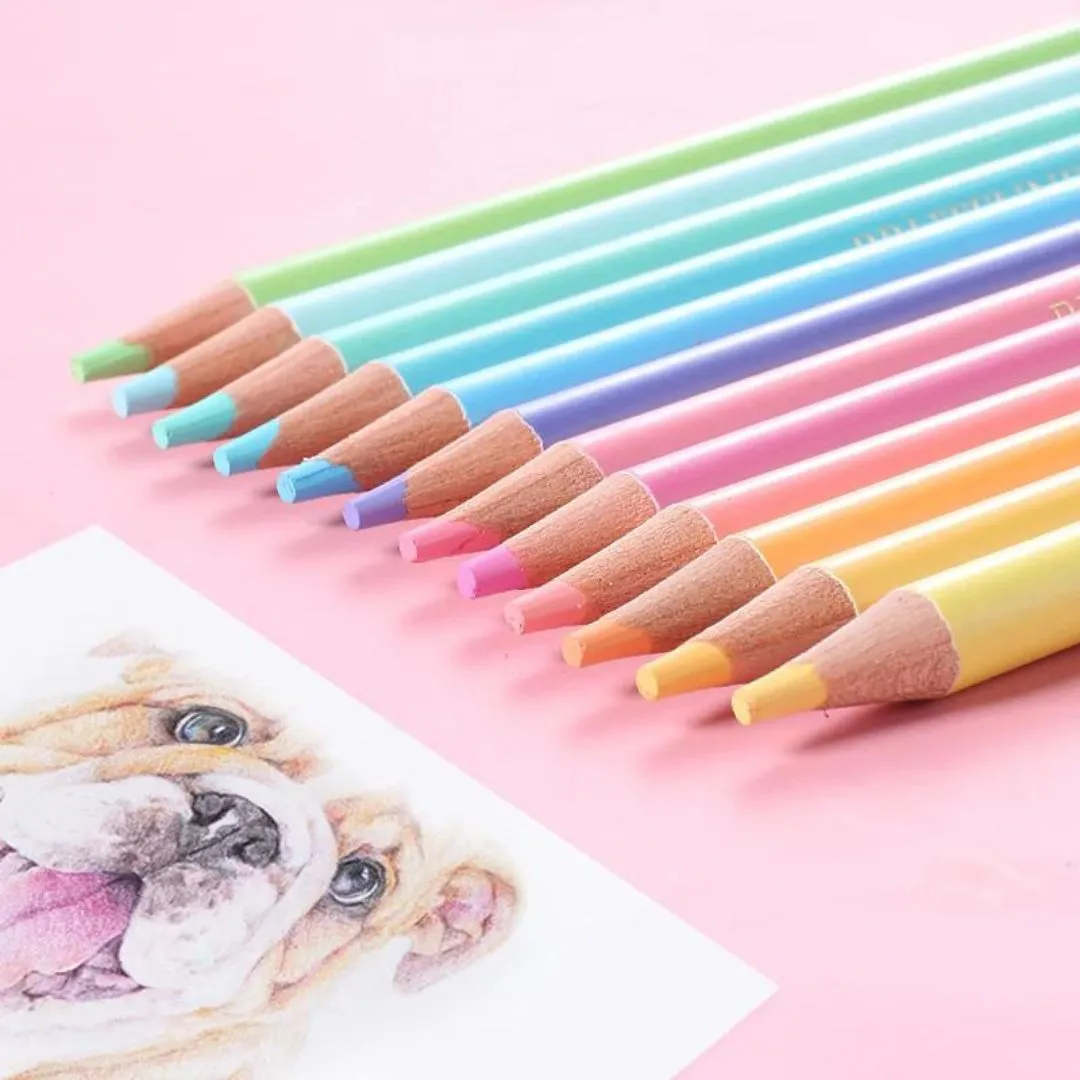Vibrant Pastel Pencil Colours - Pack of 12 for Artistic Delight